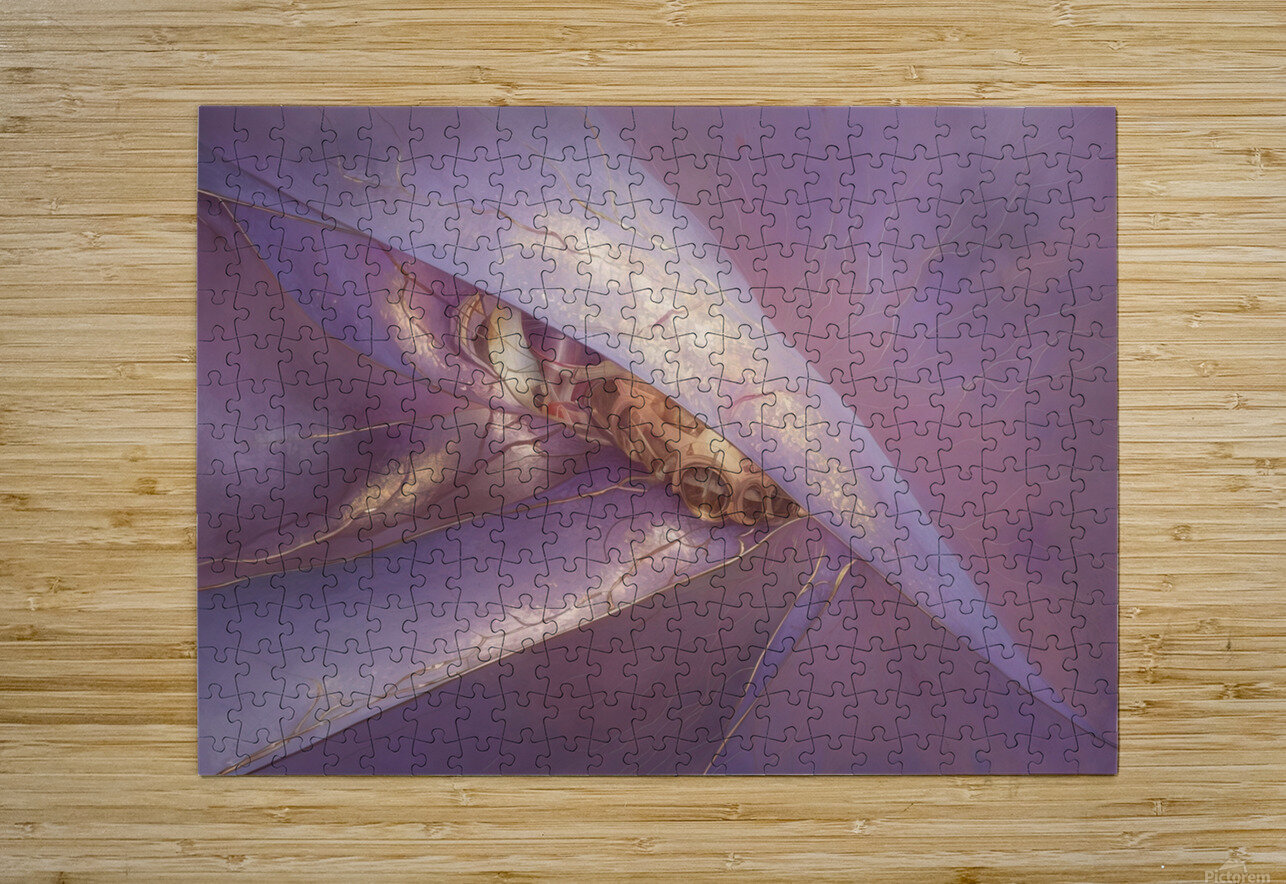 abstract oil painting of flowers 26 YURI KAZA Puzzle printing