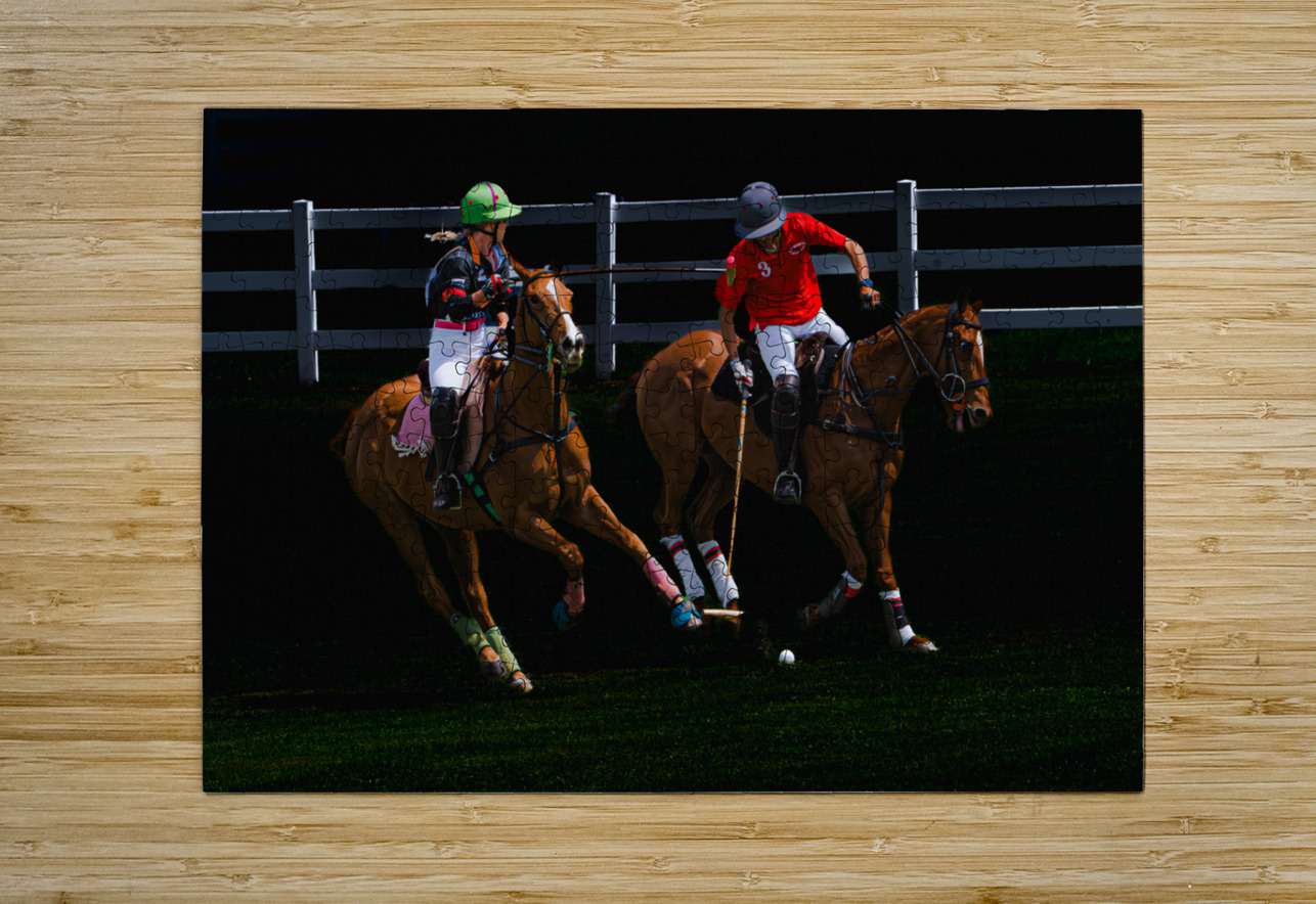 BZ9 1444 Enhanced NR Susan Lynn Cooke Puzzle printing