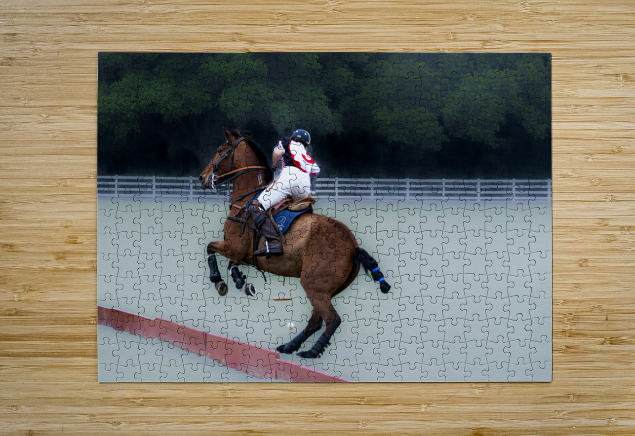 BZ9 4651 Enhanced NR Susan Lynn Cooke Puzzle printing