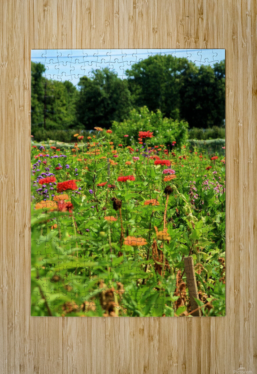 Sunflower Series 2 Bob McCulloch Puzzle printing