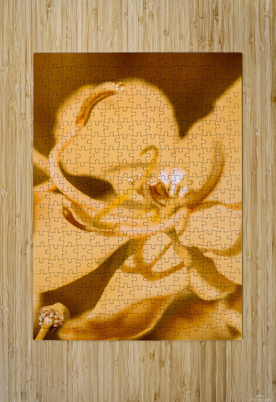 Wild orange Jorgo Puzzle printing