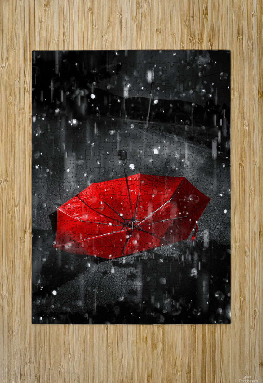 Gone with the rain Jorgo Puzzle printing