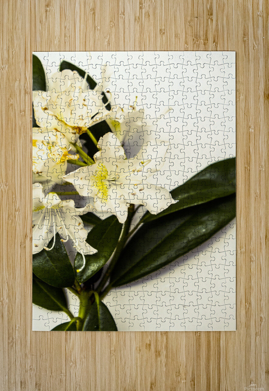 Japanese flower art Jorgo Puzzle printing