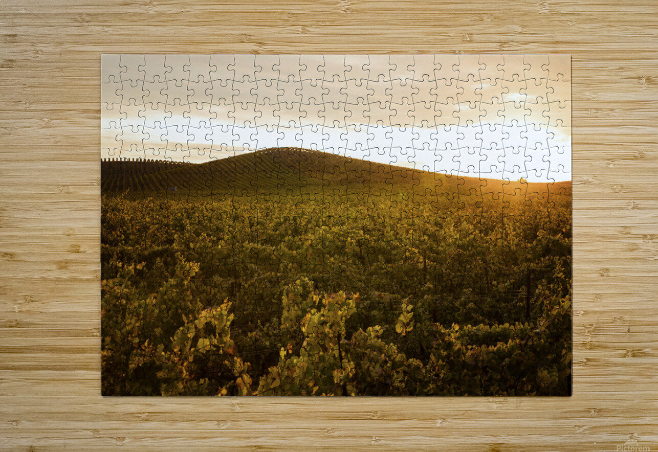 Olivier St-onge 3 Brodin Puzzle printing