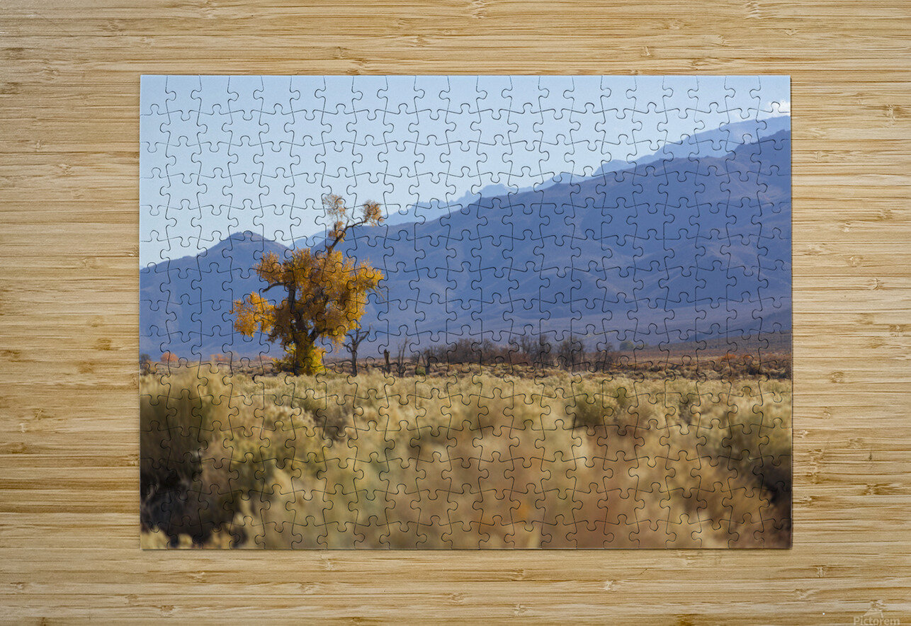 Olivier St-onge 8 Brodin Puzzle printing