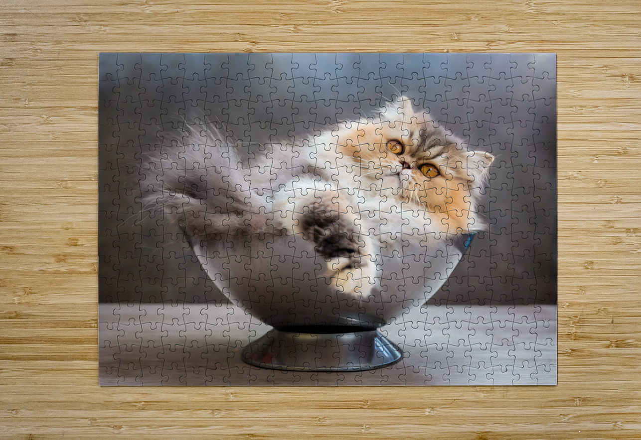 Just Getting Comfy Pabodie Art Puzzle printing