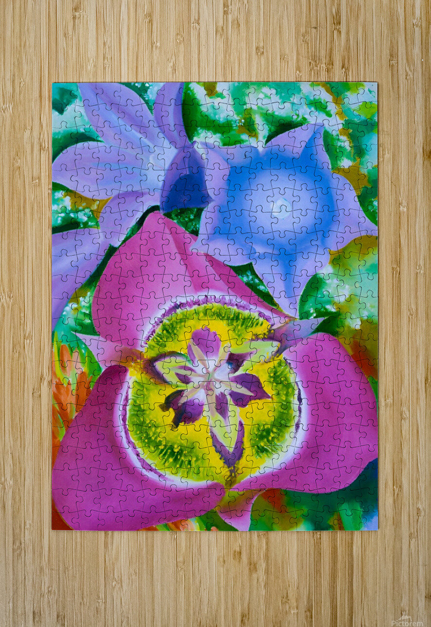 Georgia OKeeffe - Mountain Flowers No. II  Mariposa Lily William Store Puzzle printing
