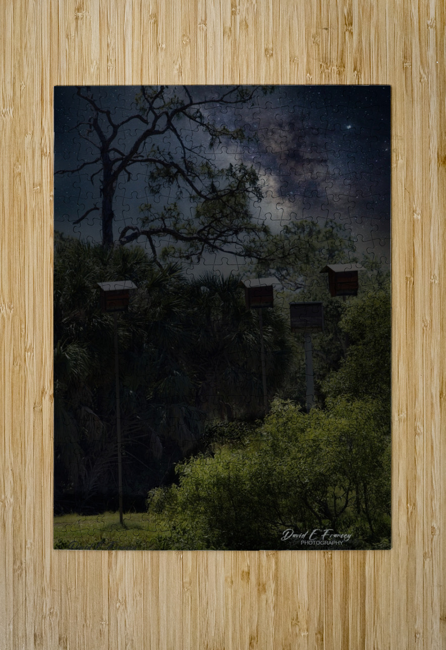 IMG 2542BatHouses David E Francey Photography Puzzle printing