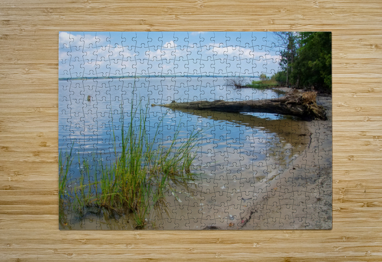 5 DSC 2161 1 Elizabeth Lima Images Puzzle printing