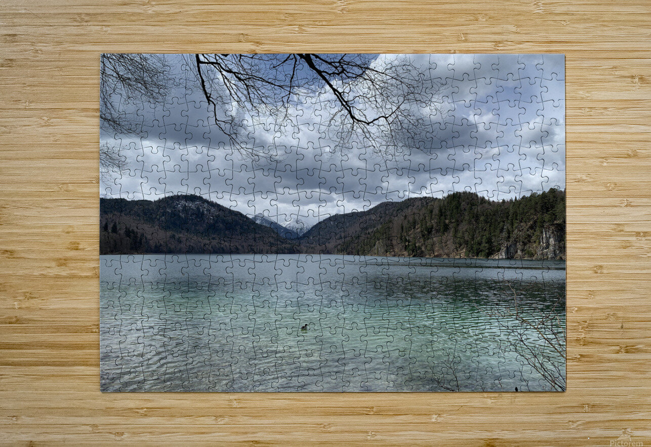 2023 04 15 13 59 44 069 Bobby Jack Puzzle printing