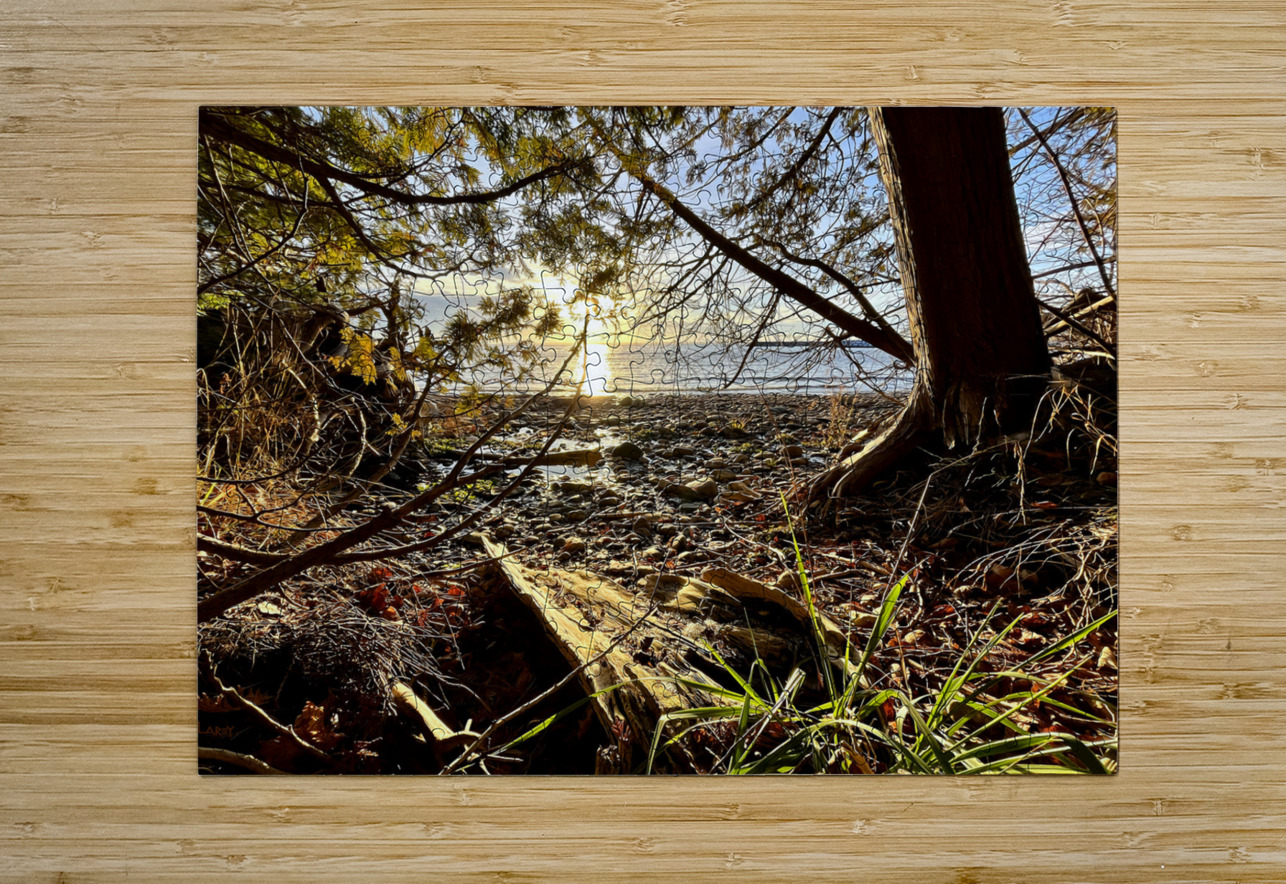 Peshawbestown 02  Timothy Larey Puzzle printing