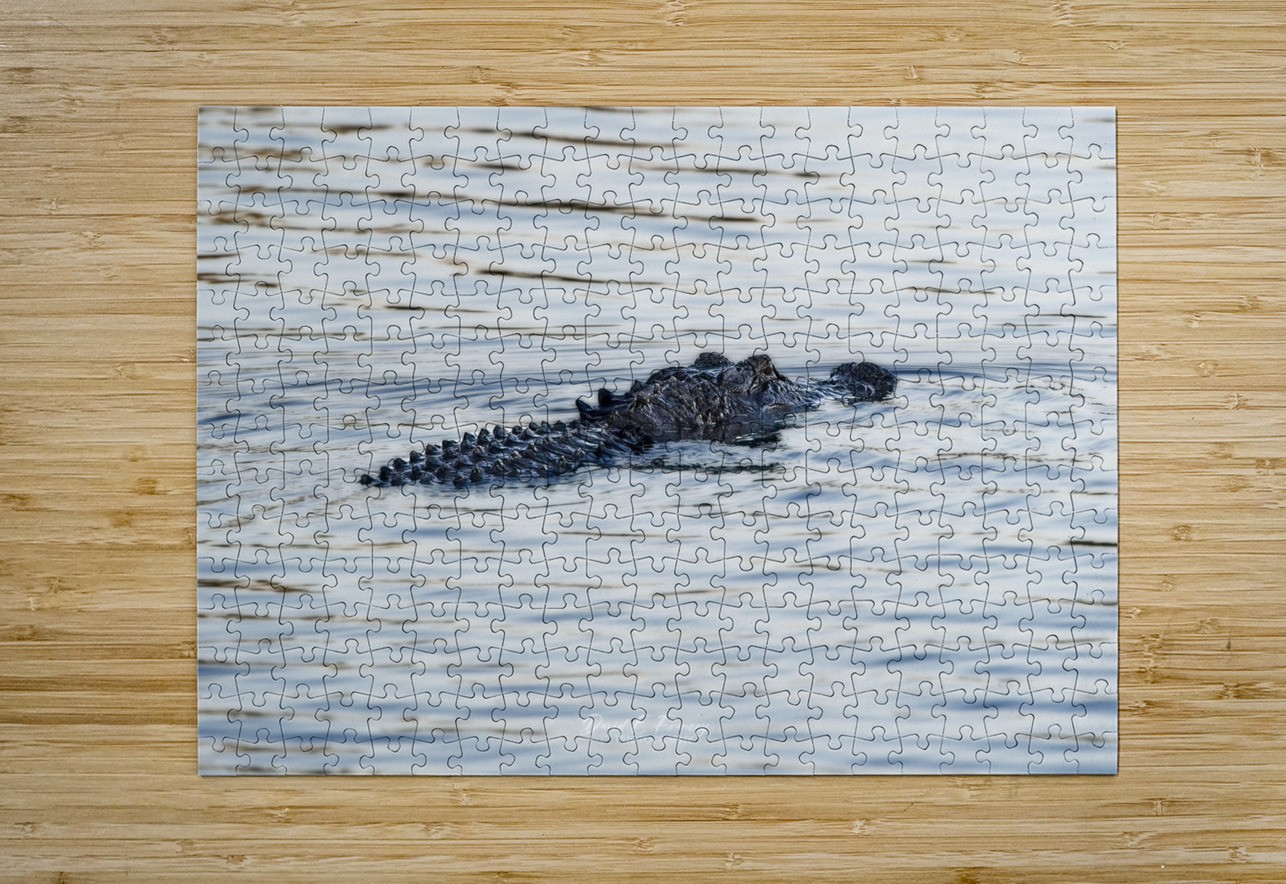 IMG 2945Gator David E Francey Photography Puzzle printing