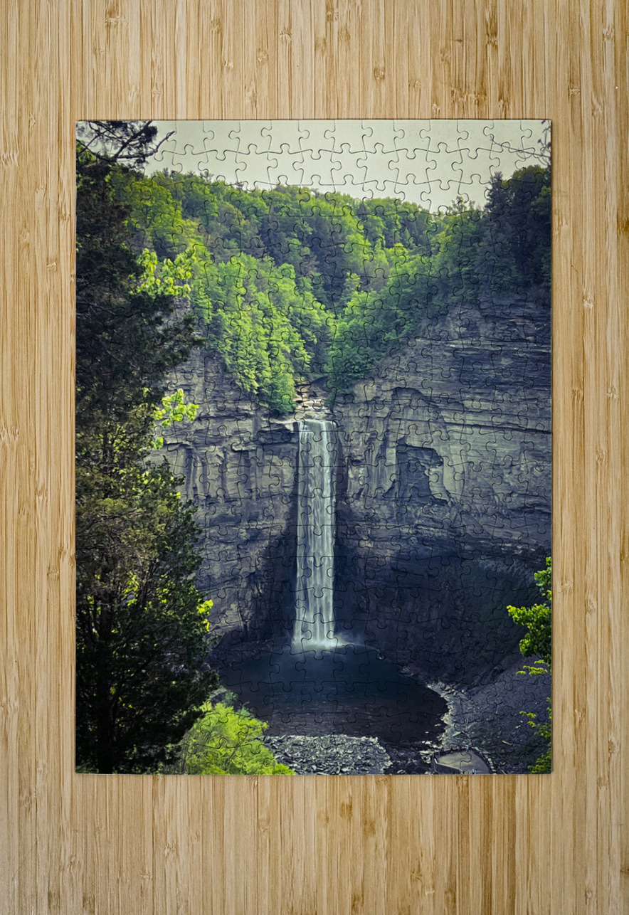 Taughannock Falls 2023 Sheela Balcome Puzzle printing