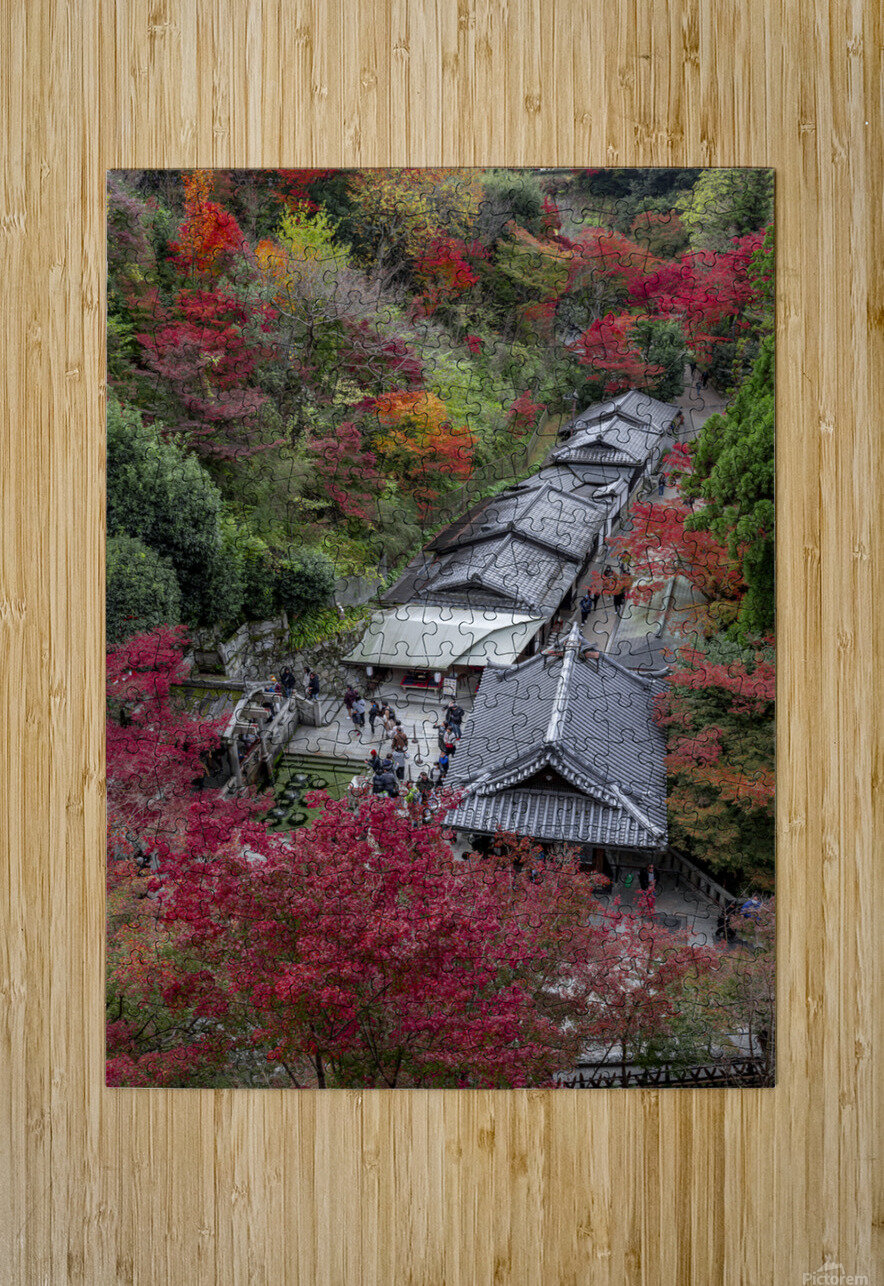 Top view of the kiyomizu dera temple spring Gualtiero Boffi Puzzle printing
