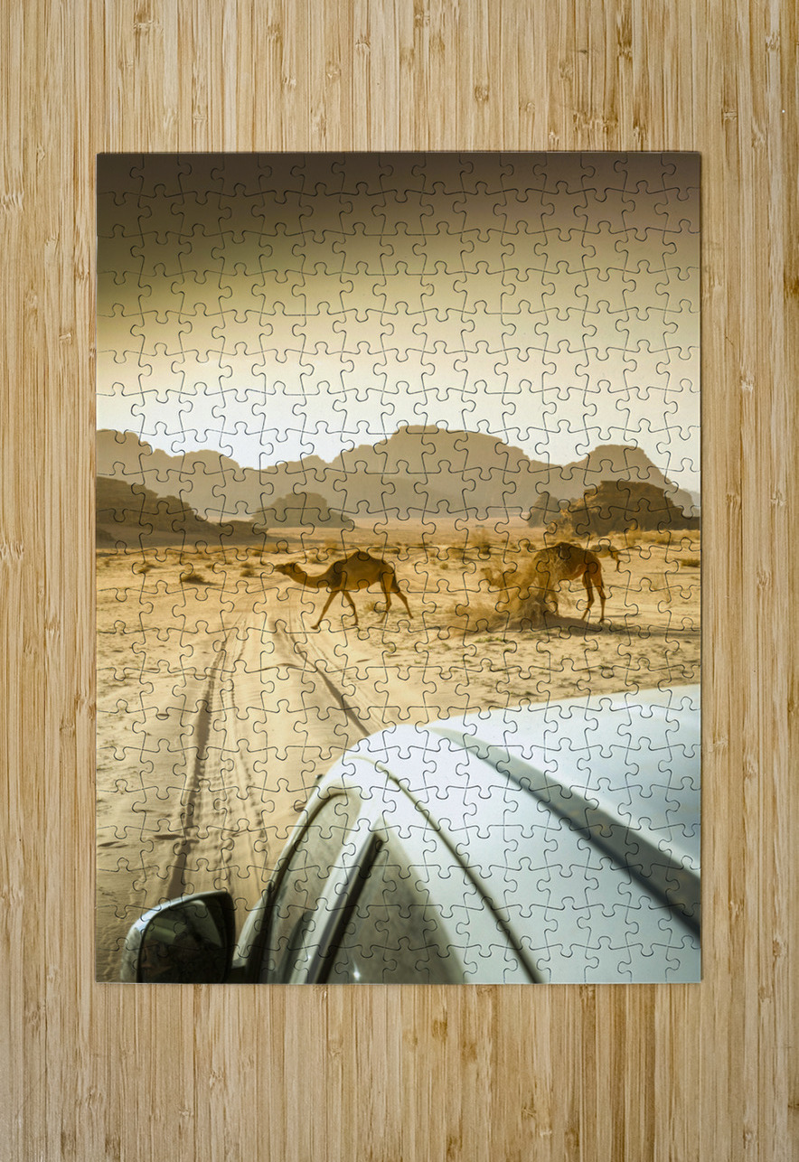 wandering camels background Gualtiero Boffi Puzzle printing