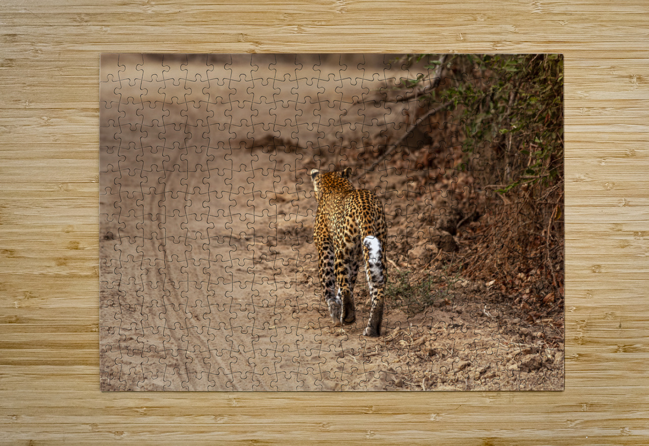 leopard walks in the savannah Gualtiero Boffi Puzzle printing