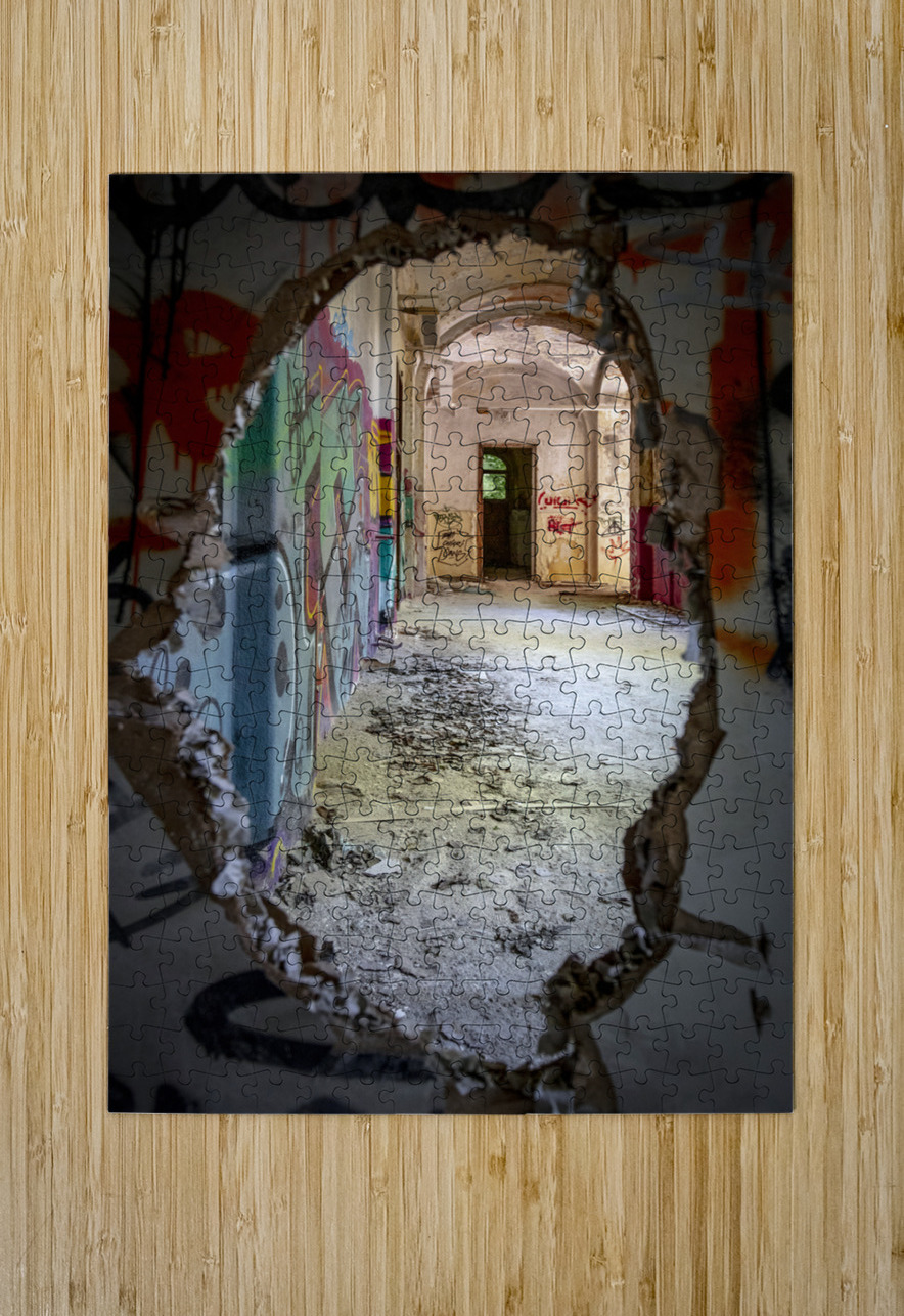 Interior of an abandoned and vandalised building Gualtiero Boffi Puzzle printing