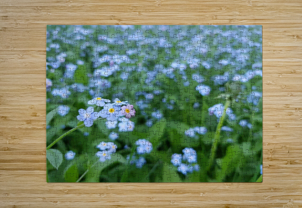 Forget Me Nots Arlette Hunnakko Puzzle printing