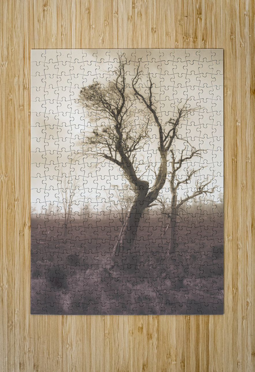 Mystery tree in a dark scary forest Jorgo Puzzle printing