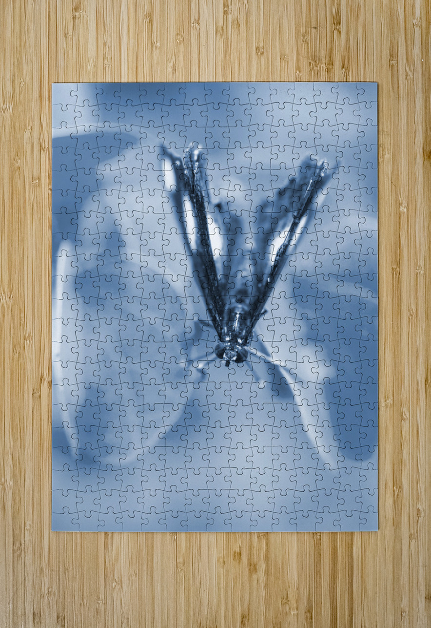 Blue spring Jorgo Puzzle printing