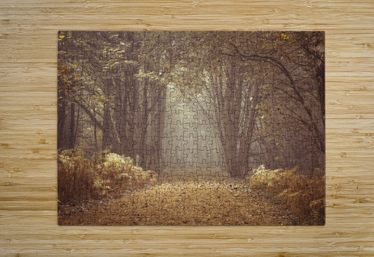 Forest Walkway Assaf Frank Puzzle printing