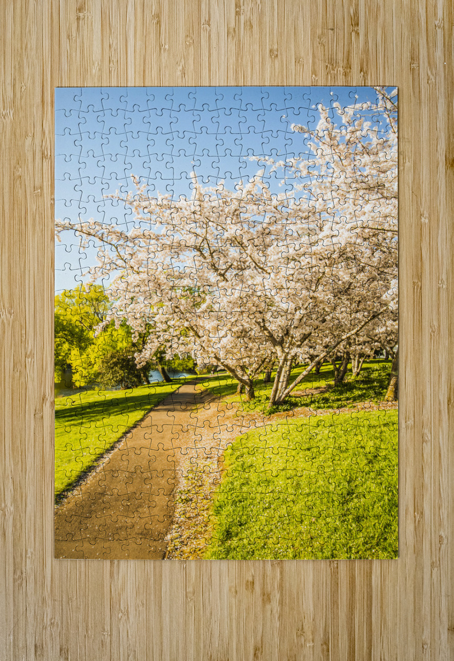 Cherry blossom lane Jorgo Puzzle printing