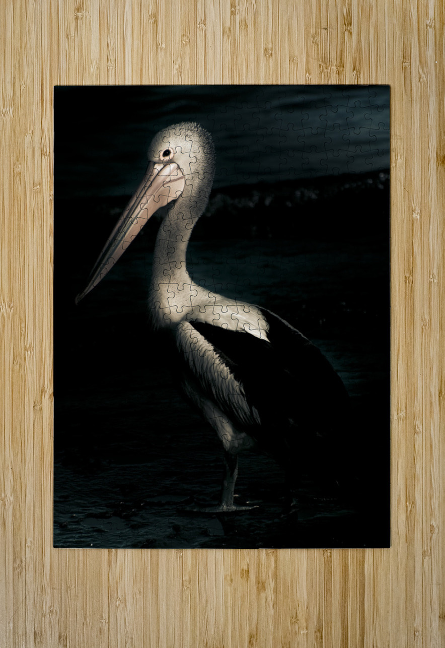 Twilight Pelican Jorgo Puzzle printing