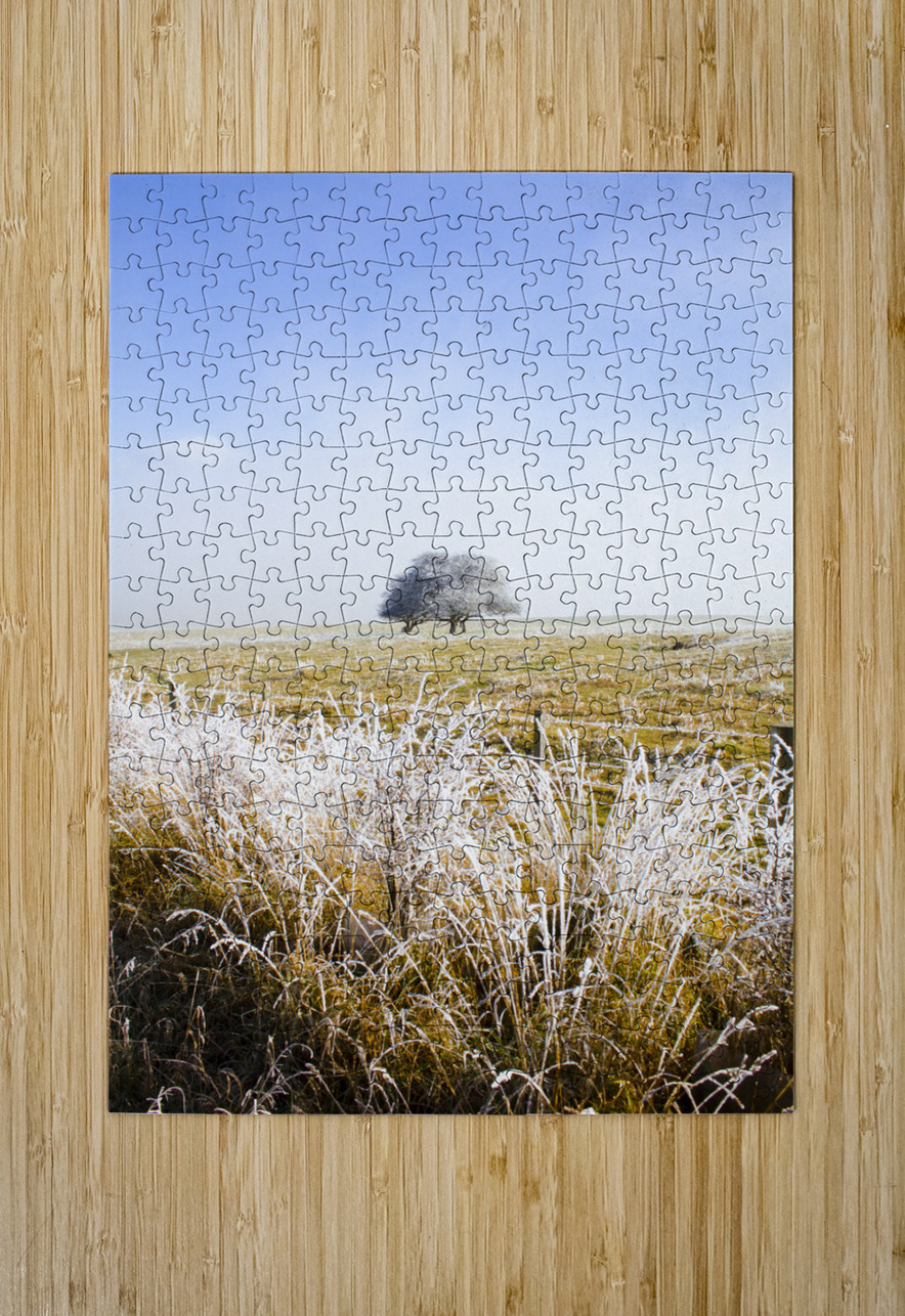 Fairytale winter in Fingal Jorgo Puzzle printing