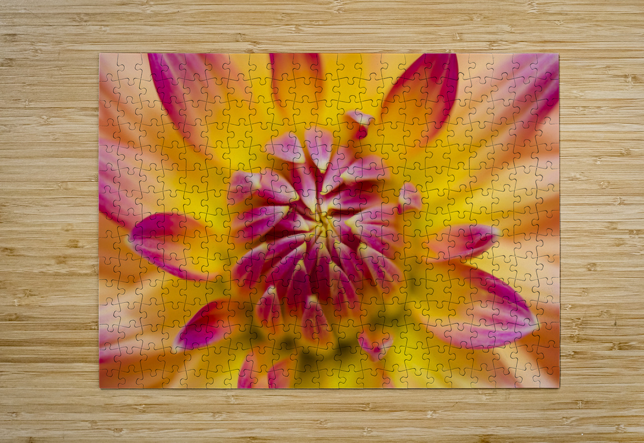 Beautiful colourful flower macro. Spring beauty Jorgo Puzzle printing