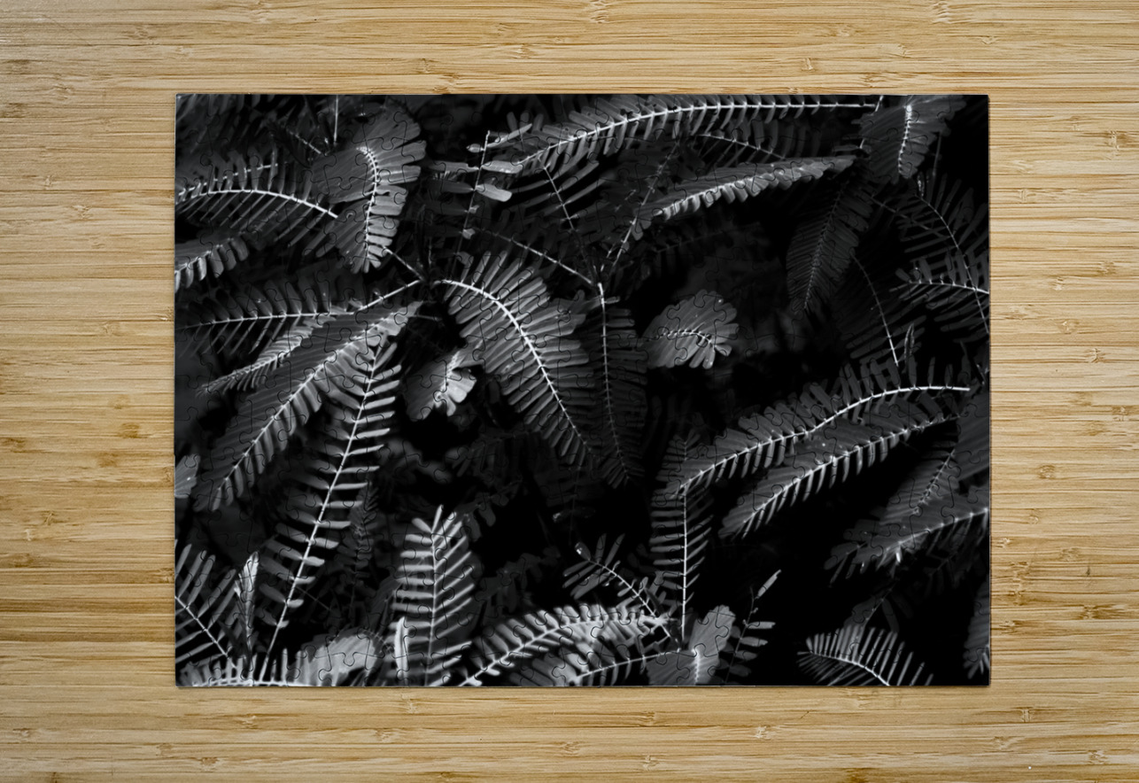 Ferns by the river Jorgo Puzzle printing