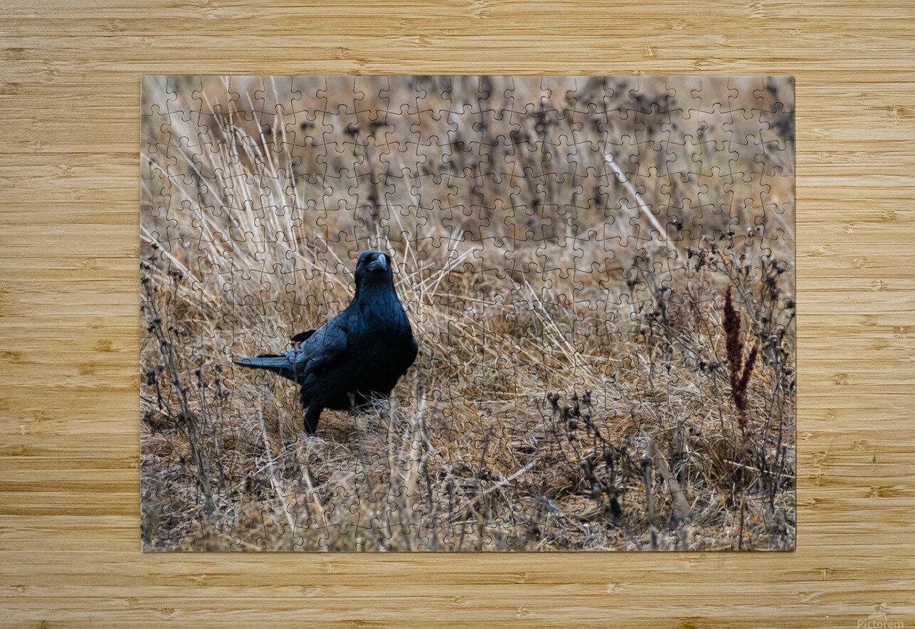 Have We Met  AngelaRae Photography Puzzle printing