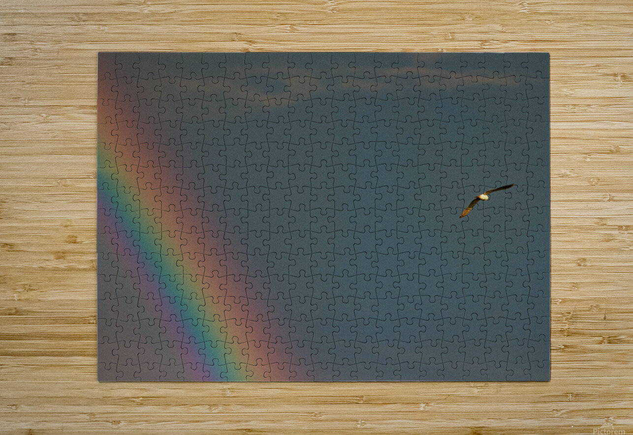 IMG 0347 CineshotXfilm Puzzle printing