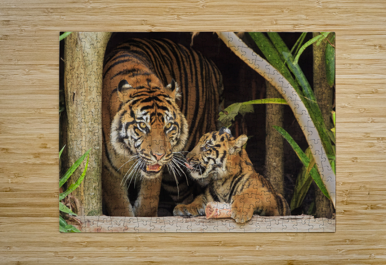 Tigers Tono Chavez Puzzle printing