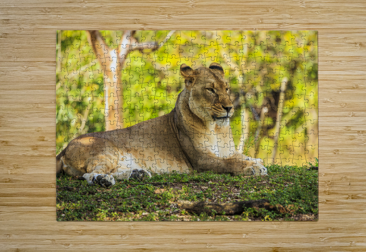 Lioness Tono Chavez Puzzle printing