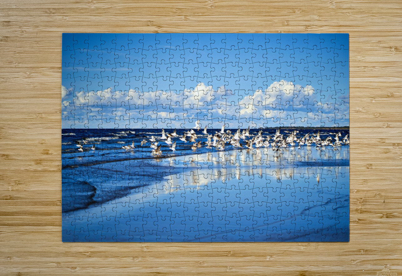Birds Of The Blue    I Lynnette Brink Puzzle printing