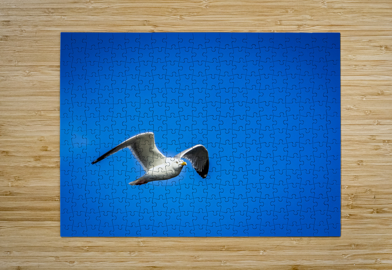 Store Alaska5L3A7673 Tono Chavez Puzzle printing