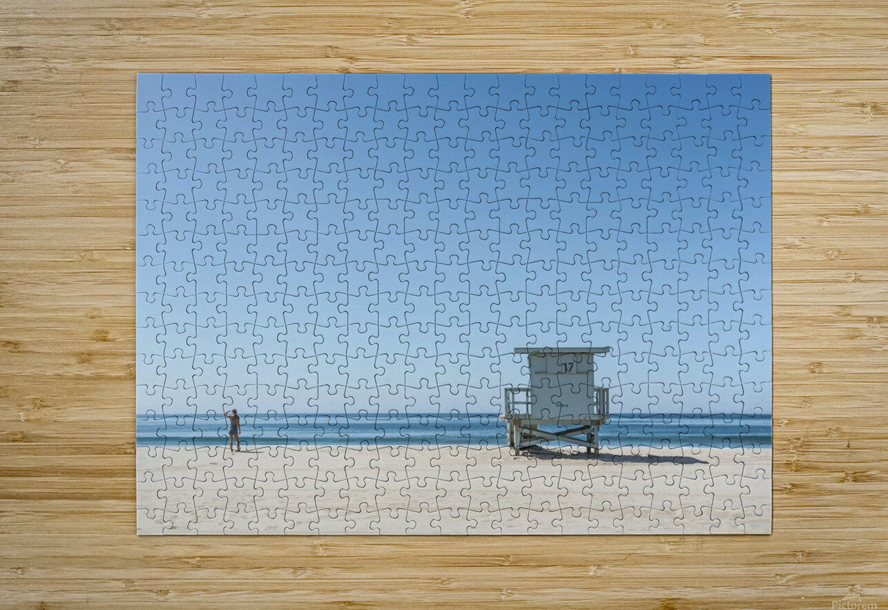 The Horizen Lynnette Brink Puzzle printing