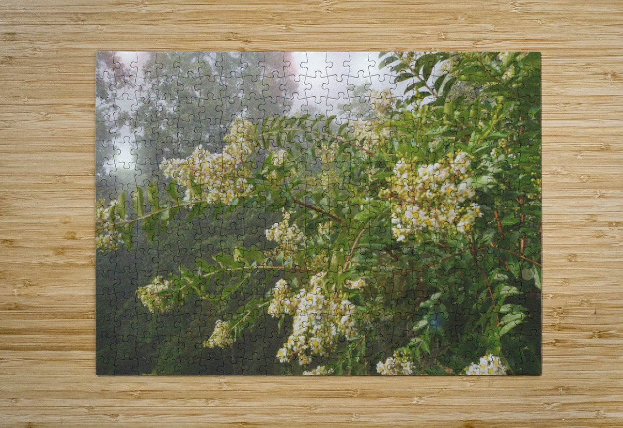 Crepe Myrtle Variation 3 OS PIXquisate Puzzle printing