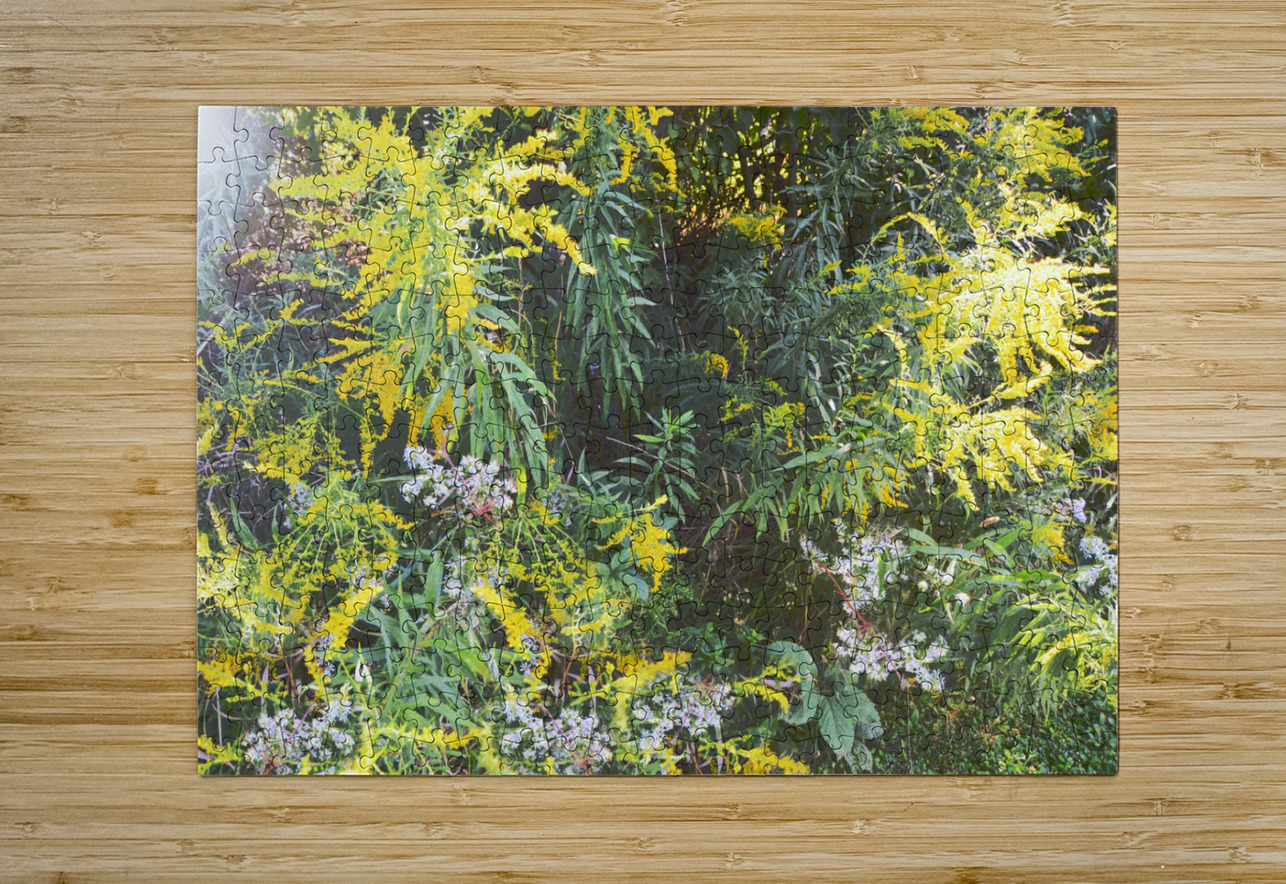 Goldenrod Version 3 OS PIXquisate Puzzle printing