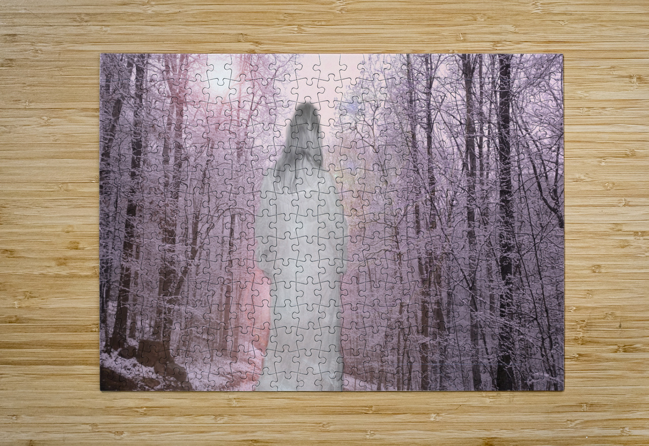 Gypsy Winter Road OS PIXquisate Puzzle printing