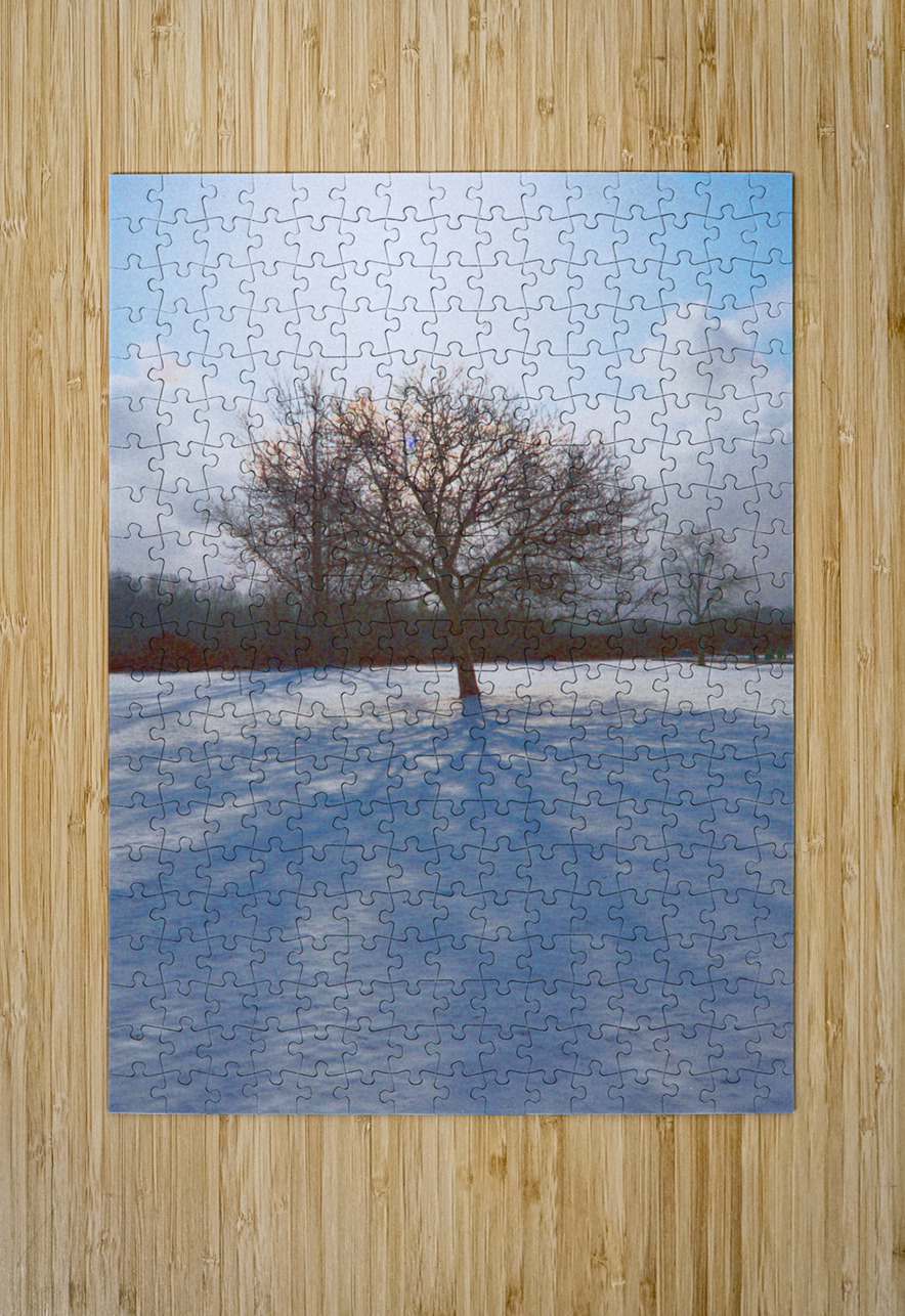 Walnut Tree Snow and Shadow OS PIXquisate Puzzle printing
