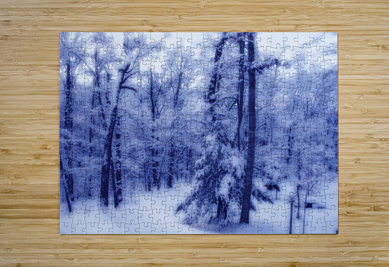 Winter Glow OS PIXquisate Puzzle printing