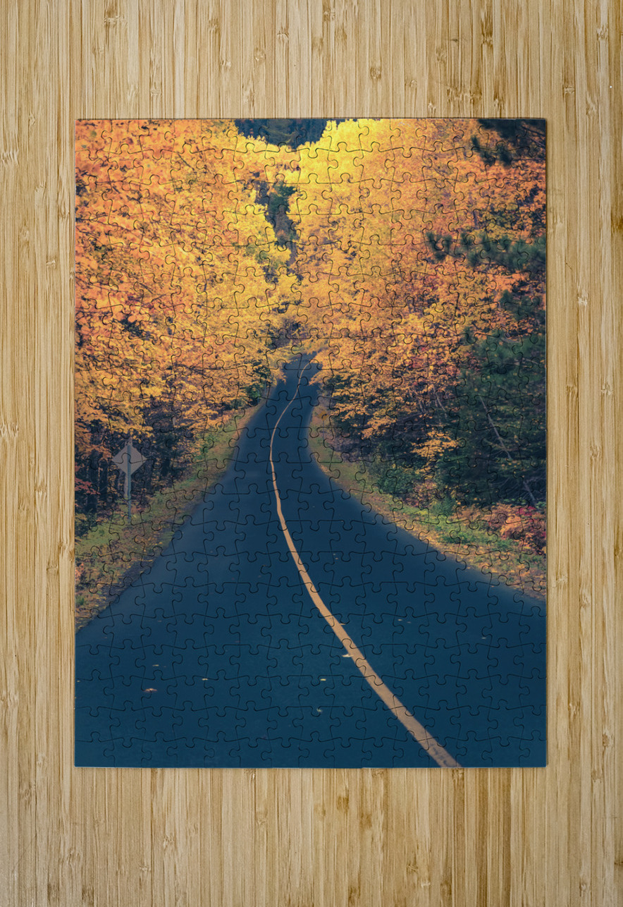 Chemin dautomne Martin Gaudreault artiste photographe Puzzle printing