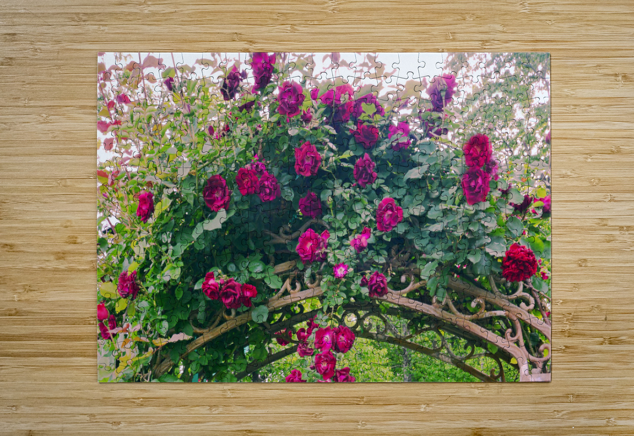 Summer Rose Arbor edit 4 Original size PIXquisate Puzzle printing