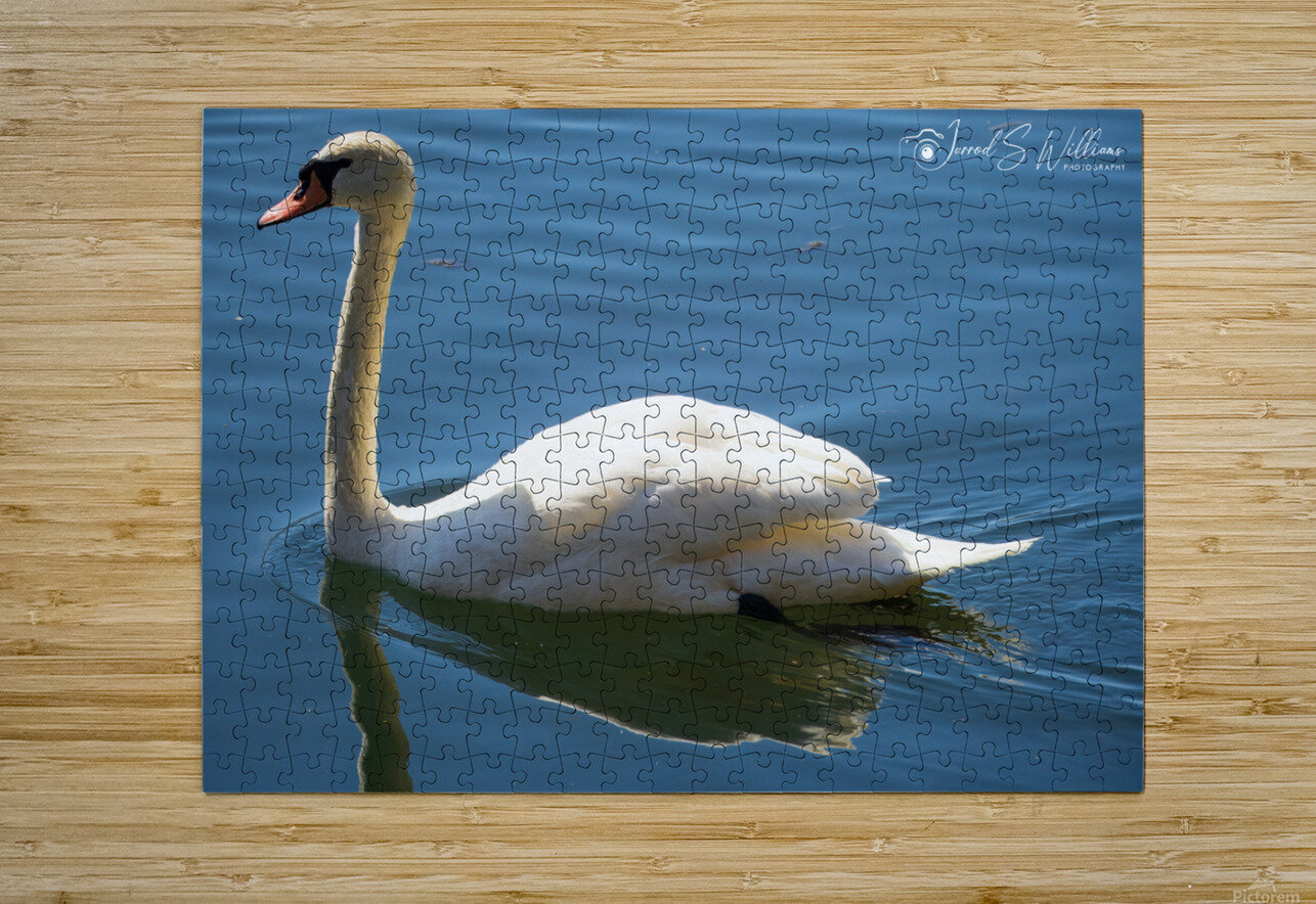 Swan 03 jarrodswilliams Puzzle printing