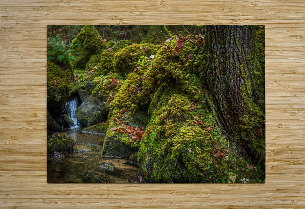 Jurassique Martin Gaudreault artiste photographe Puzzle printing