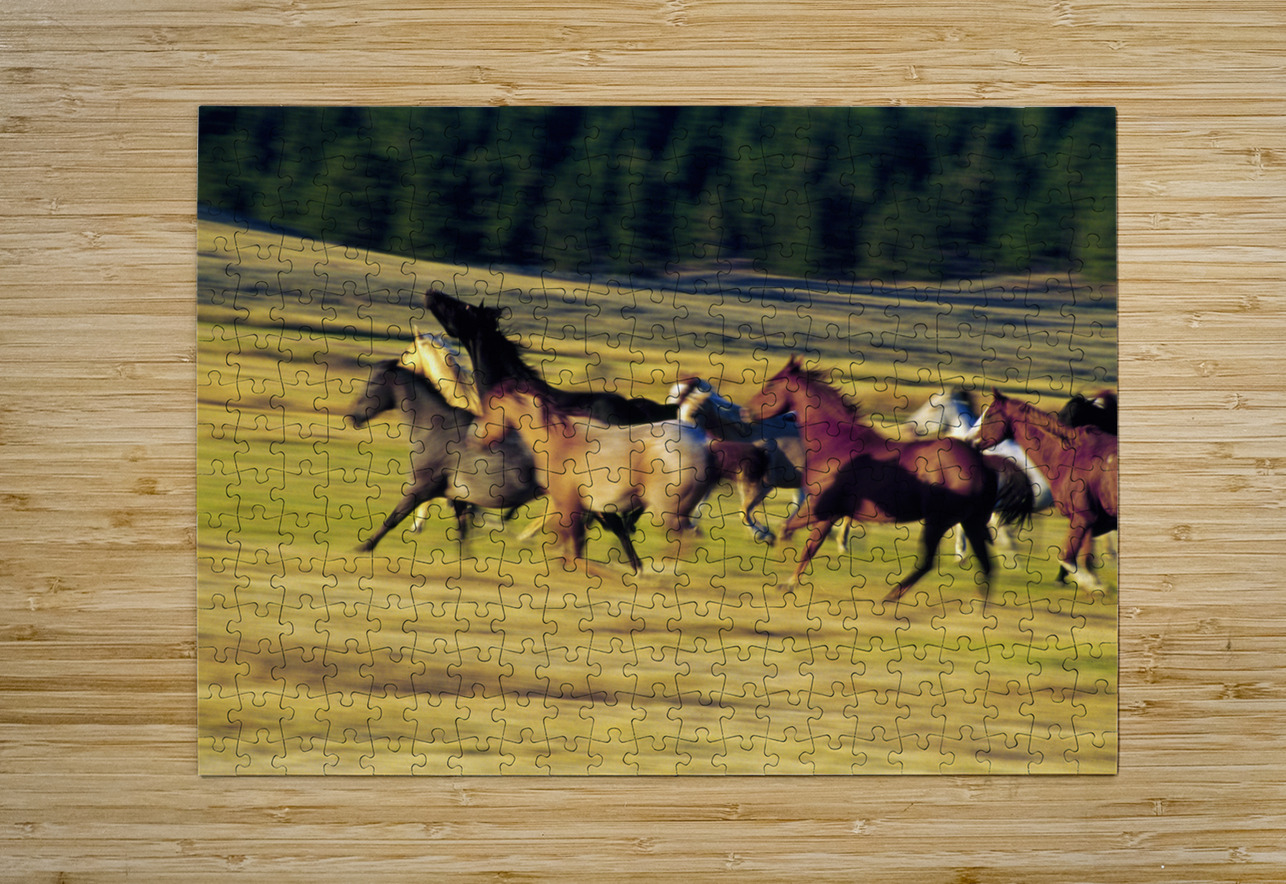 Herd of horses running Oregon United States 102763 Panoramic Images Puzzle printing