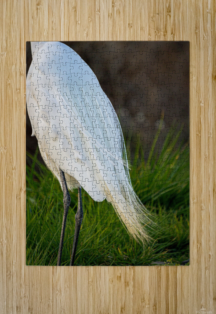 Snowy Egret Silhouette  David Yoon Puzzle printing