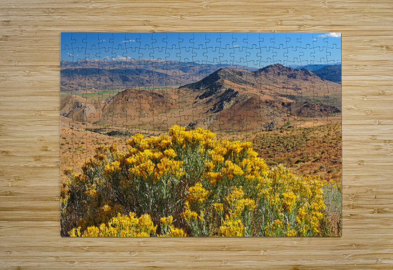 The Straw Flower Bouquet in the Tahoe Desert Norma Brandsberg Photography Puzzle printing