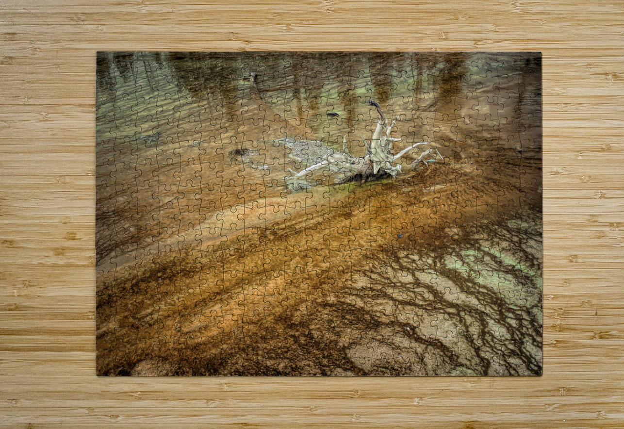 Yellowstone  Hot Springs Pool Tree Left Behind Norma Brandsberg Photography Puzzle printing